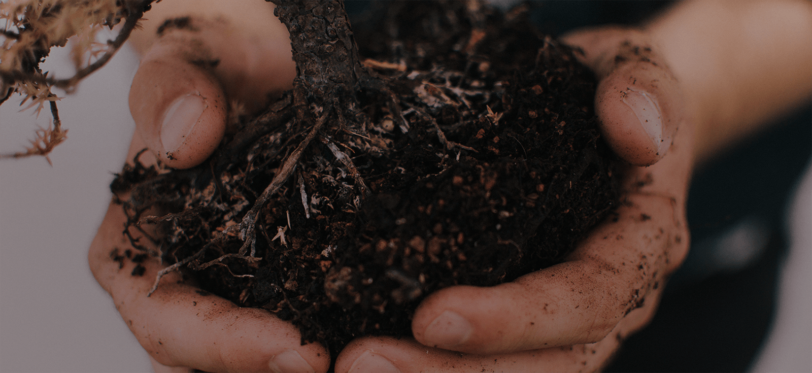 We turn food and organic waste into High Quality Compost - Western Compost